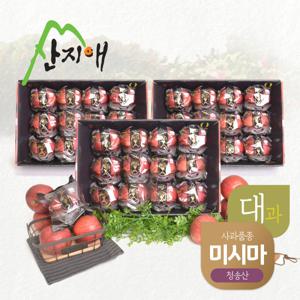 산지애 블랙라벨 사과 9kg (3kg*3박스, 총 24~36과, 대과)