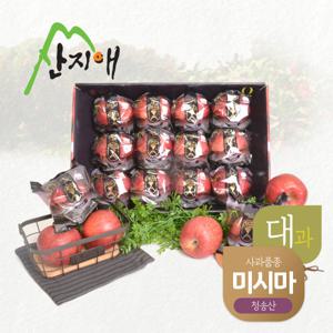 산지애 블랙라벨 사과 3kg (3kg*1박스, 총 8~12과, 대과)