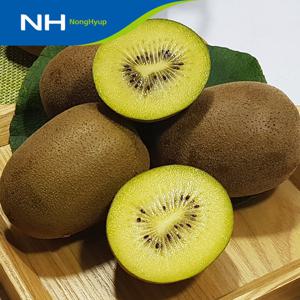 순천농협 골드키위 2kg(21과 내외) 실중량