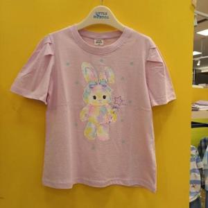 리틀밥독 HC11 올리버티 B252MTS13