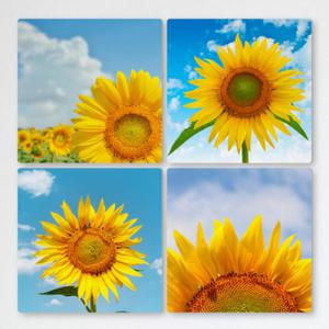 아트박스/꾸밈 cf323-멀티액자_구름가득한하늘과해바라기