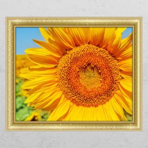 아트박스/꾸밈 cd335-다가온해바라기_창문그림액자