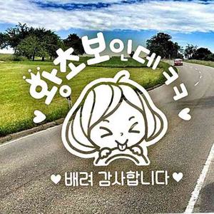 왕초보인데ㅋㅋ 초보자동차스티커-화이트