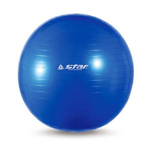 짐볼(EB240-07) 55cm