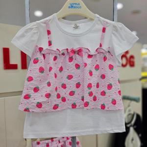 리틀밥독 sh06 딸기통통TS H262MWP21