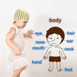 아트박스/꾸밈 ip101-우리몸어린이영어공부