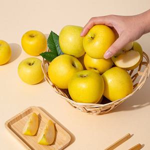 [더조은] 황금사과 시나노골드 정품 5kg 17-22과