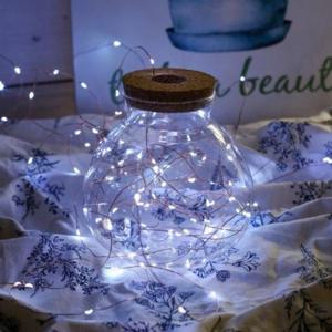 [도토로] 태양광 LED 100구 와이어 전구(10m) (백색) 에펠 장식