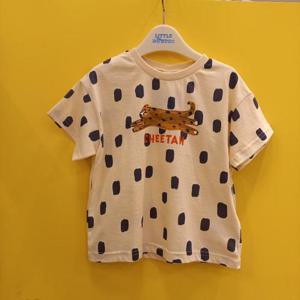 리틀밥독 HC11 치티티 B252MPR09