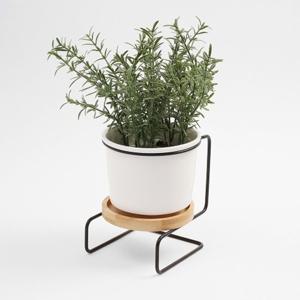 [더블유쇼핑]모던가든 도자기 화분(+블랙 스탠드) 인테리어 화분