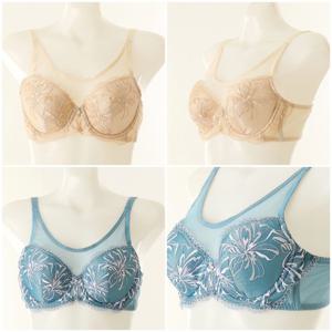 [와코루]C/D컵 살루트 보정력을 더한 풀메이크업 풀컵 브라 (DBR0461CD)