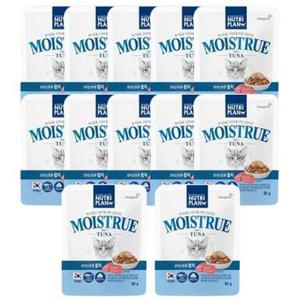 고양이 캔사료 참치 80g x12팩 습식 파우치