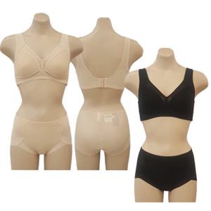 [비너스] A컵B컵 어깨끈 넓은 노와이어브라 햄라인팬티 VGBM165 PTM164HE 큰사이즈 노와이어 큰컵 노와이어