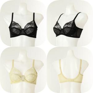 [비너스] 26SS(DE컵)가볍고탄탄한 페이즐리 오르화엔젤망브라 (OBR7867CD)