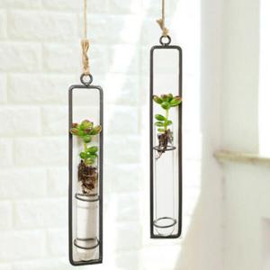 아트박스/진바스 벽걸이 행잉 유리화분과 환엽송록 소형