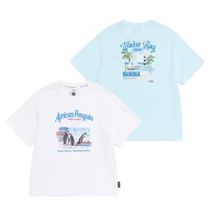 [내셔널지오그래픽키즈] 반팔티 K262UTS050 남아 여아 여행 그래픽 티셔츠 110 고학년 딜 K262UTS050CH