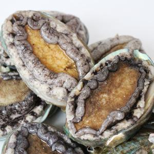 [산지직송] 완도 활 전복선물세트 1kg(9-10미)