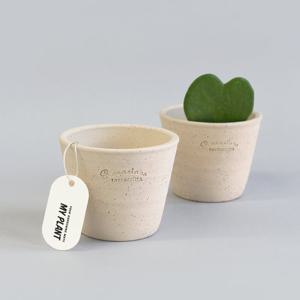 마이플랜트 로자리안 쿠앤크 컵콩분 8호 분갈이 국산 화분 인테리어 토분