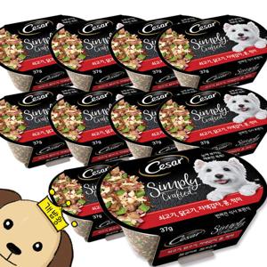 시저 심플리 쇠고기 닭고기 자색감자 콩적미 37gx10개