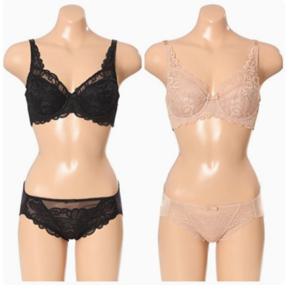 [바바라]부드러운 소프트자수 직조풀컵 보정브라&햄팬티ABR4240ABP4241