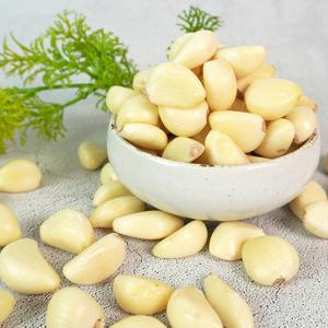 [미식한가] 알싸한 남도마늘 깐마늘 중 5kg