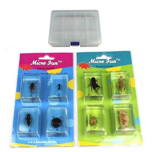 곤충벌레표본 8종 곤충관찰 과학 실험 자연과학 교구 곤충표본 벌레표본 갑각류표본 곤충관찰표본 곤충표본교구 곤충관찰교구 벌레관찰교구 갑각류관찰교구 과학실험