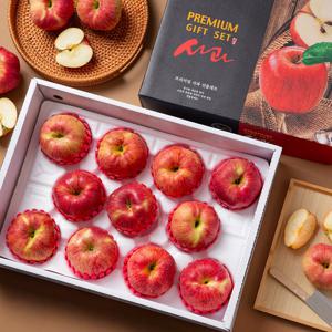 [미식한가] 정성가득 빨간사과 명품 선물세트 5kg / 11-13과