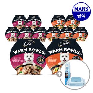 시저 웜볼 닭고기요리 5개+닭고기와 쇠고기요리 5개+애견칫솔+베베숲물티슈1팩