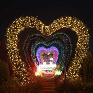 트리전구 은하수 300구 녹색선 LED 웜색 지니전구 30M 점멸