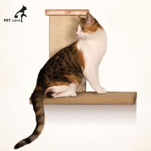 [생활] 파이오니아 고양이 스카이 클라이머