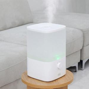 가역식가습기 레이나4524 복합식 가습기 대용량 초음파 가열식 무드등기능 복합가습기 4L