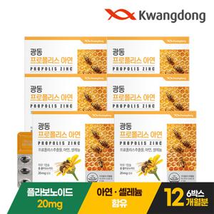 광동 프로폴리스 아연 60캡슐 6박스(12개월분)