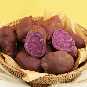 해남 자색고구마 5kg 특상급 (개당 120~300g)
