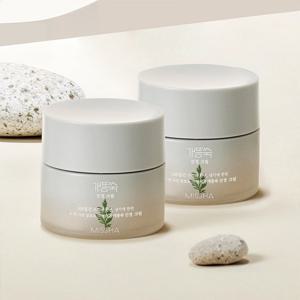 [미샤][2개구성] 개똥쑥 진정 크림 50ml