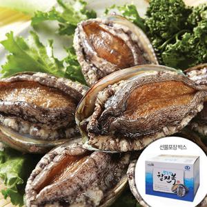 완도 참 전복 선물세트 12-13미 총2kg(24-26마리)
