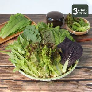 [삼촌밥먹자] 유기농 쌈채소 600g