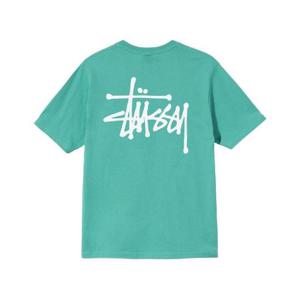 스투시 베이직 스투시 티셔츠 그린 2021 1904649