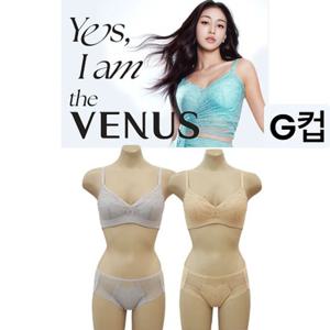 [비너스 란제리] 햄라인팬티 26년 S S 봄광고브라  Yes I am 브라 큰사이즈브라 큰컵브라 VBRPT9005GHE