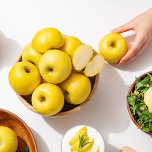 [미식한가] 황금사과 시나노골드 가정용 3kg 15-18과