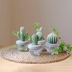 아로마코 선인장 석고 디퓨저 100ml 백화점 고급 집들이 선물