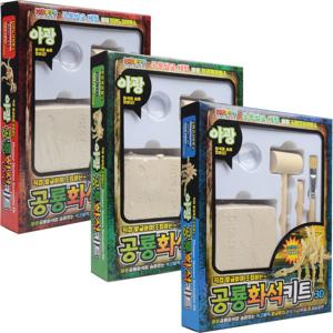 야광 공룡 화석 키트(1p) 공룡발굴 발굴키트 공룡 화석