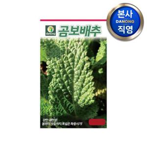 곰보 배추 씨앗 1000립 . 원예 야채 채소 텃밭 주말 농장 씨 종자.