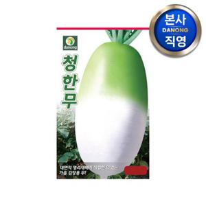 청한무 씨앗 500립 . 야채 채소 무우 가을 파종 김장 텃밭 재배 씨 종자.
