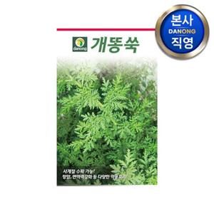 개똥쑥 씨앗 1만립 . 야채 채소 텃밭 파종 재배 주말 농장 씨 종자.