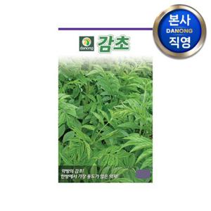 감초 씨앗 5g . 야채 채소 텃밭 파종 재배 주말 농장 씨 종자.