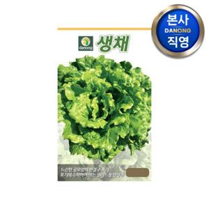 생채 상추 씨앗 2000립 . 야채 채소 텃밭 파종 재배 주말 농장 씨 종자.