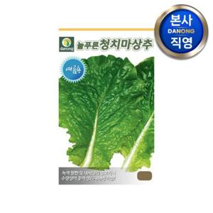 늘푸른(여름) 청치마 상추 씨앗 3g . 야채 채소 텃밭 재배 파종 씨 종자.
