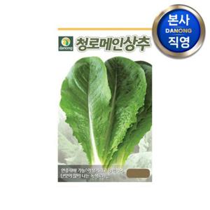 청로메인 상추 씨앗 2000립 . 야채 채소 텃밭 파종 재배 주말 농장 씨 종자.