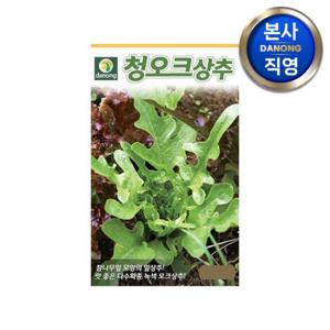 청오크 상추 씨앗 2000립 . 야채 채소 텃밭 파종 재배 주말 농장 씨 종자.