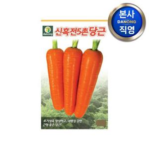 신흑전5촌 당근 씨앗 8g . 야채 채소 텃밭 파종 재배 주말 농장 씨 종자.